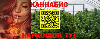 стаф Обь