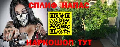 стаф Обь