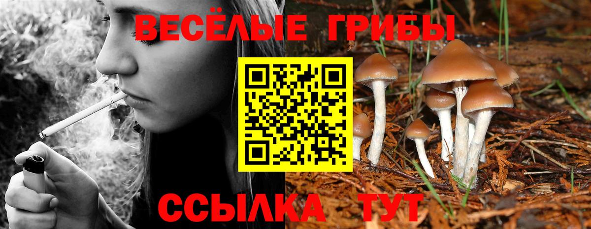 Северодвинск  Псилоцибиновые грибы прущие грибы  Вход с VPN 